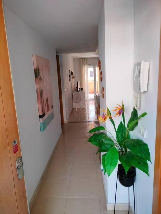 Bajo Con Jardin A Pie De Playa Y Piscina Comunitaria Con Jacuzzi * Playas de Vera
